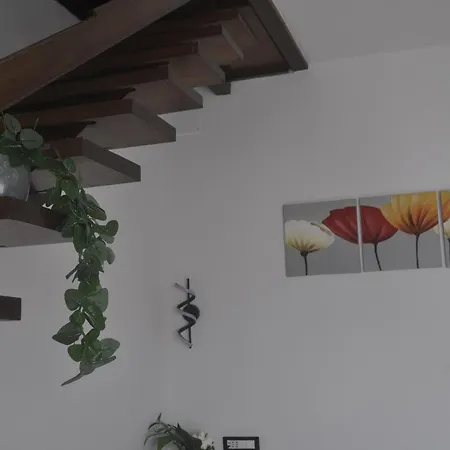 Casa Alex * Casa Botrona